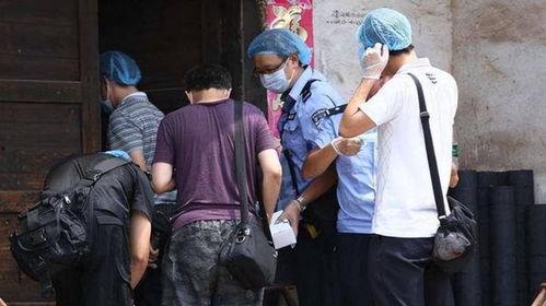 灭门惨案在线观看视频,惊悚悬疑，揭秘家族复仇之谜